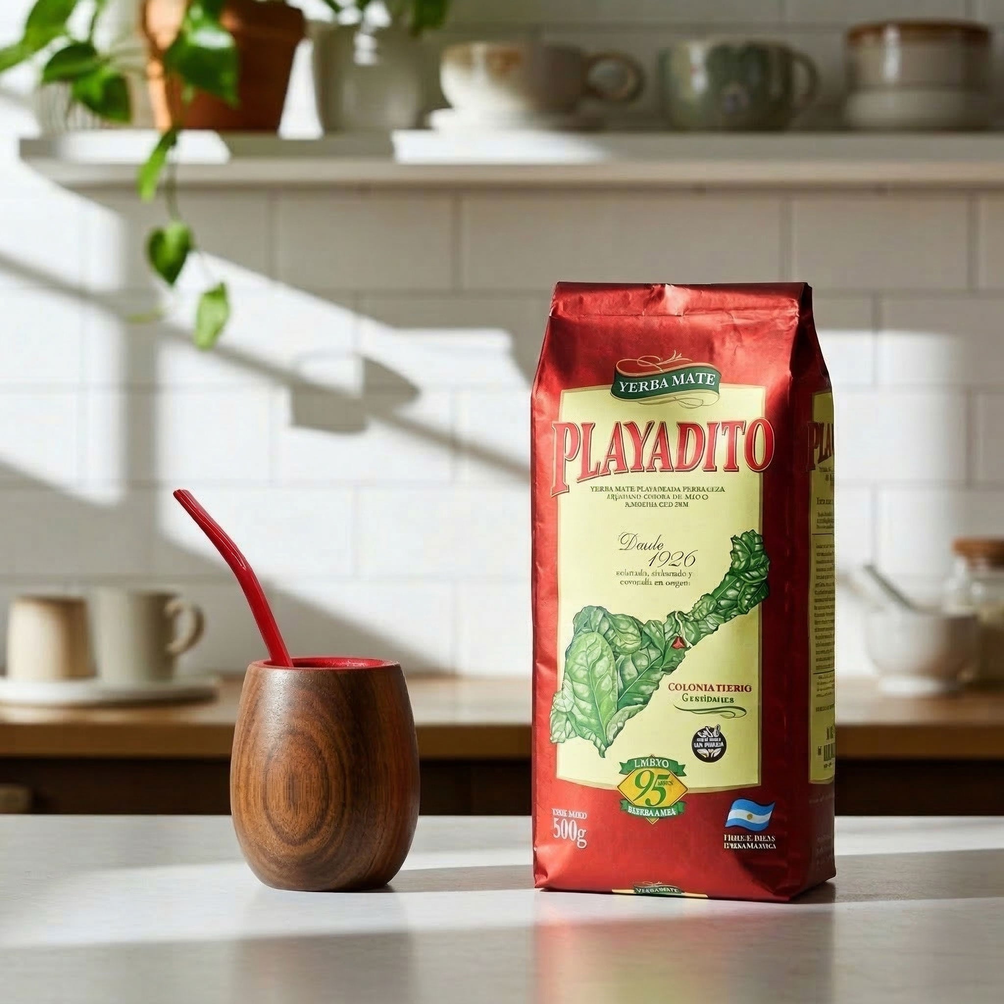Playadito | Pure Leaf Yerba Mate (500g)