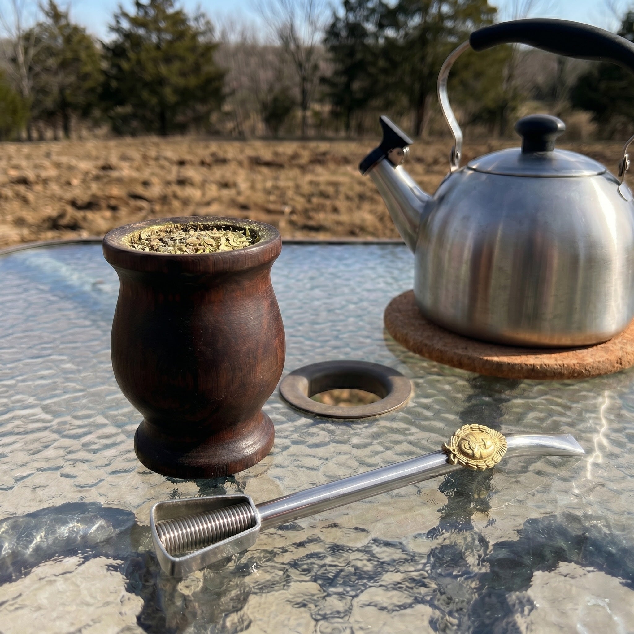 Escudo Bombilla de Alpaca