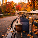 Chaya | Mate Gourd Set