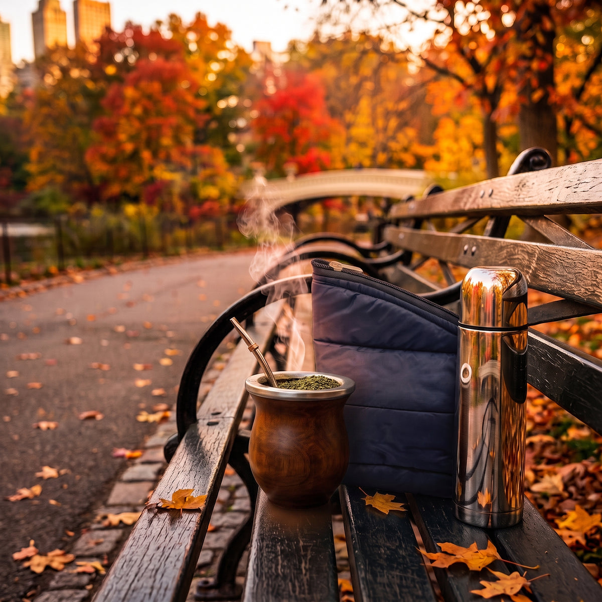 Chaya | Mate Gourd Set