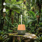 The Mijo | Mate Gourd Set