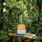 The Mijo | Mate Gourd Set