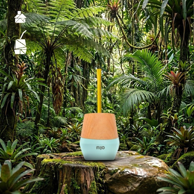 The Mijo | Mate Gourd Set