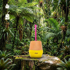 The Mijo | Mate Gourd Set