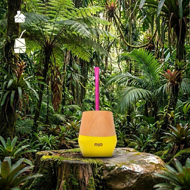 The Mijo | Mate Gourd Set