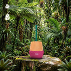 The Mijo | Mate Gourd Set