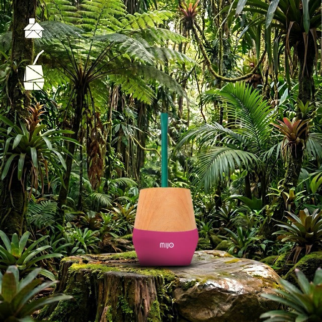 The Mijo | Mate Gourd Set