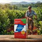 Taragüi Traditional Yerba Mate - 500g