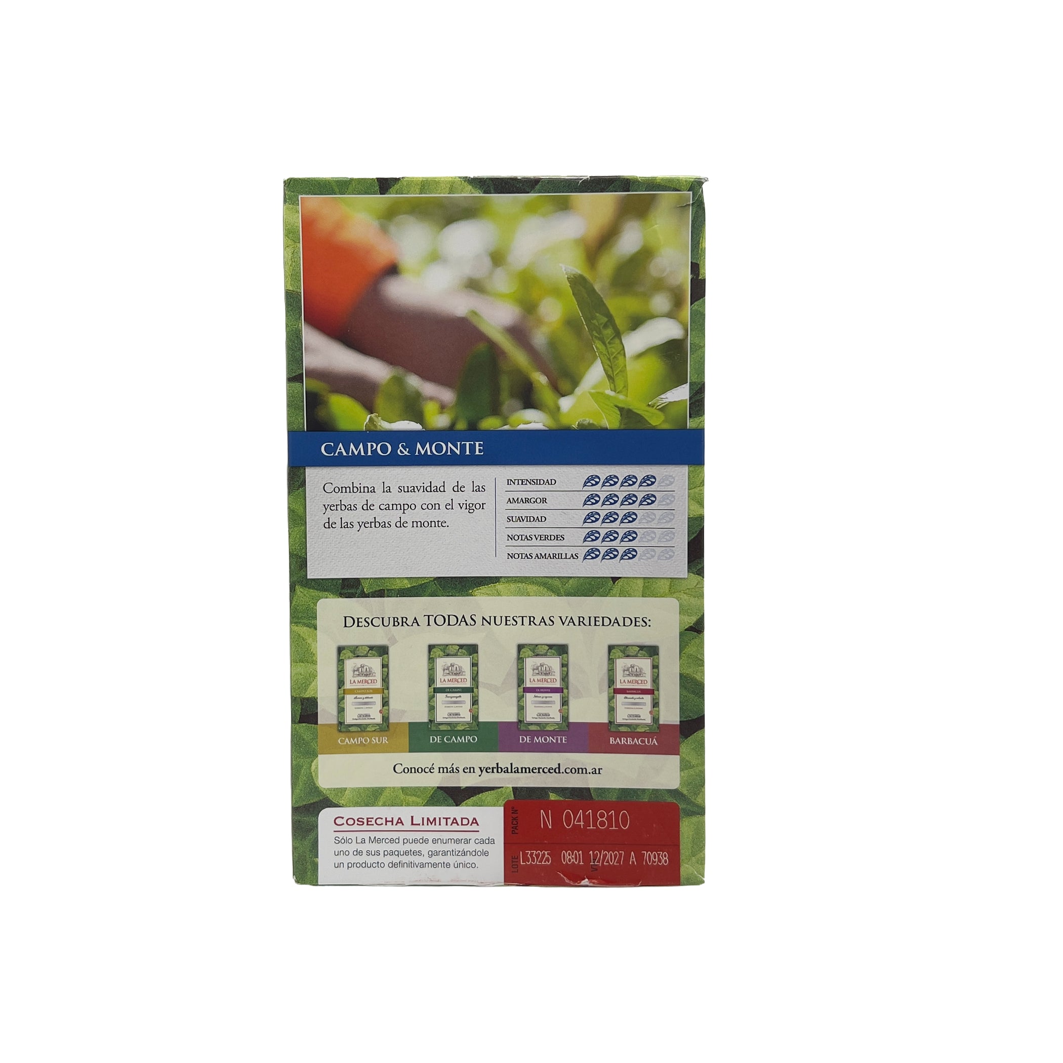 Detailed back view explaining the origins and the distinct character of the Campo & Monte yerba mate selection.