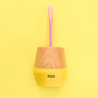 The premium Mijo yerba mate gourd in Sunshine Yellow inside its original box, perfect for eco-conscious gifting.